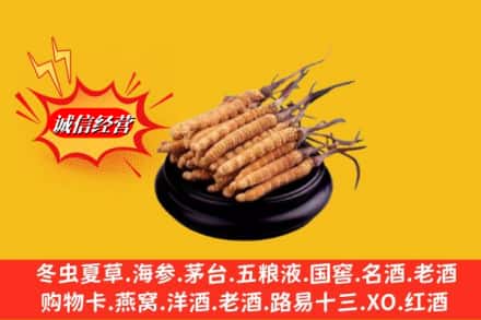 晋宁区求购回收虫草多少钱每克